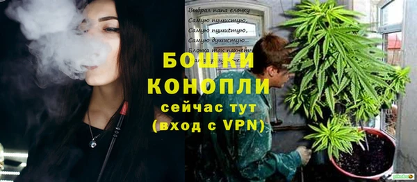 ПСИЛОЦИБИНОВЫЕ ГРИБЫ Баксан