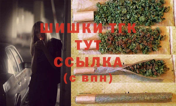 ПСИЛОЦИБИНОВЫЕ ГРИБЫ Баксан