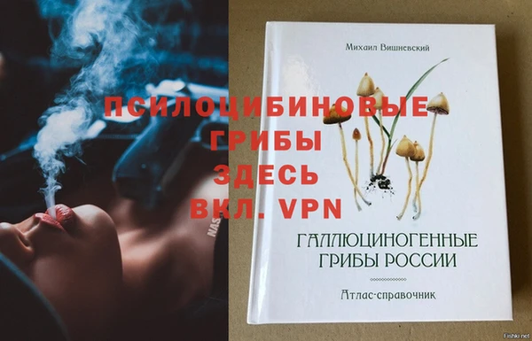 spice Балахна