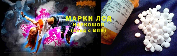 ПСИЛОЦИБИНОВЫЕ ГРИБЫ Баксан